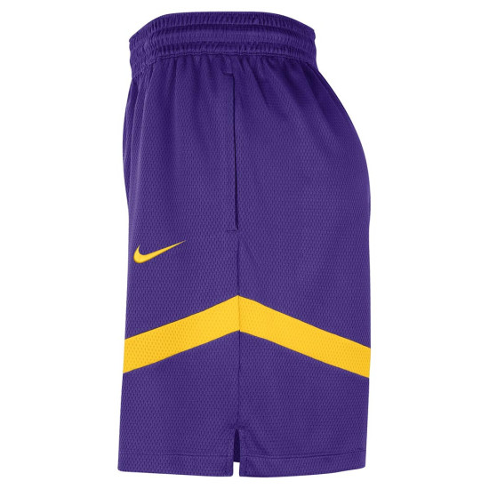 Nike Ανδρικό σορτς Los Angeles Lakers Practice Icon+